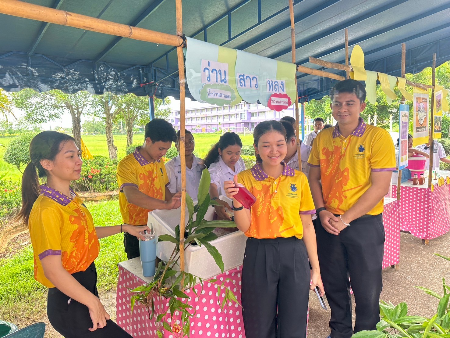 การฝึกทักษะอาชีพ